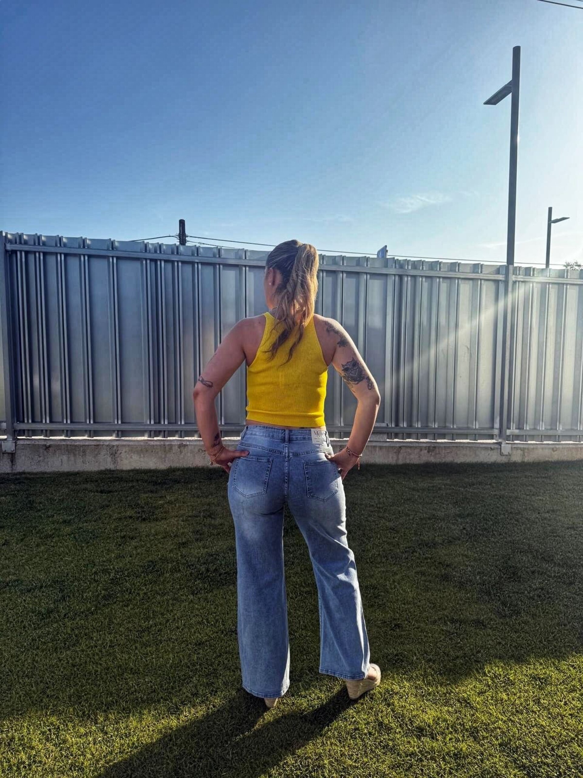 Crop destello - 2