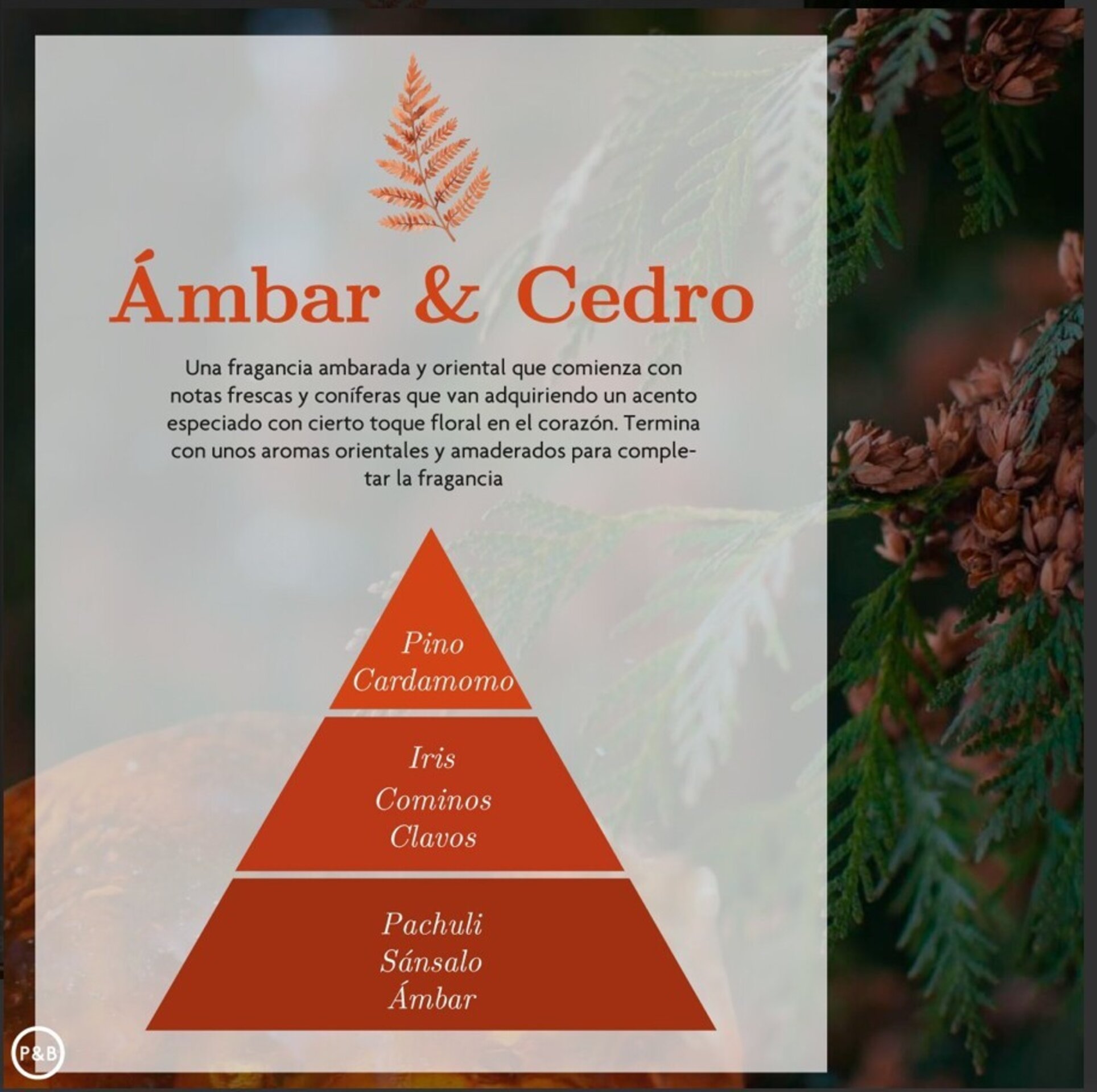 Vela Aromática AMBAR ZEN – Fortaleza - 2