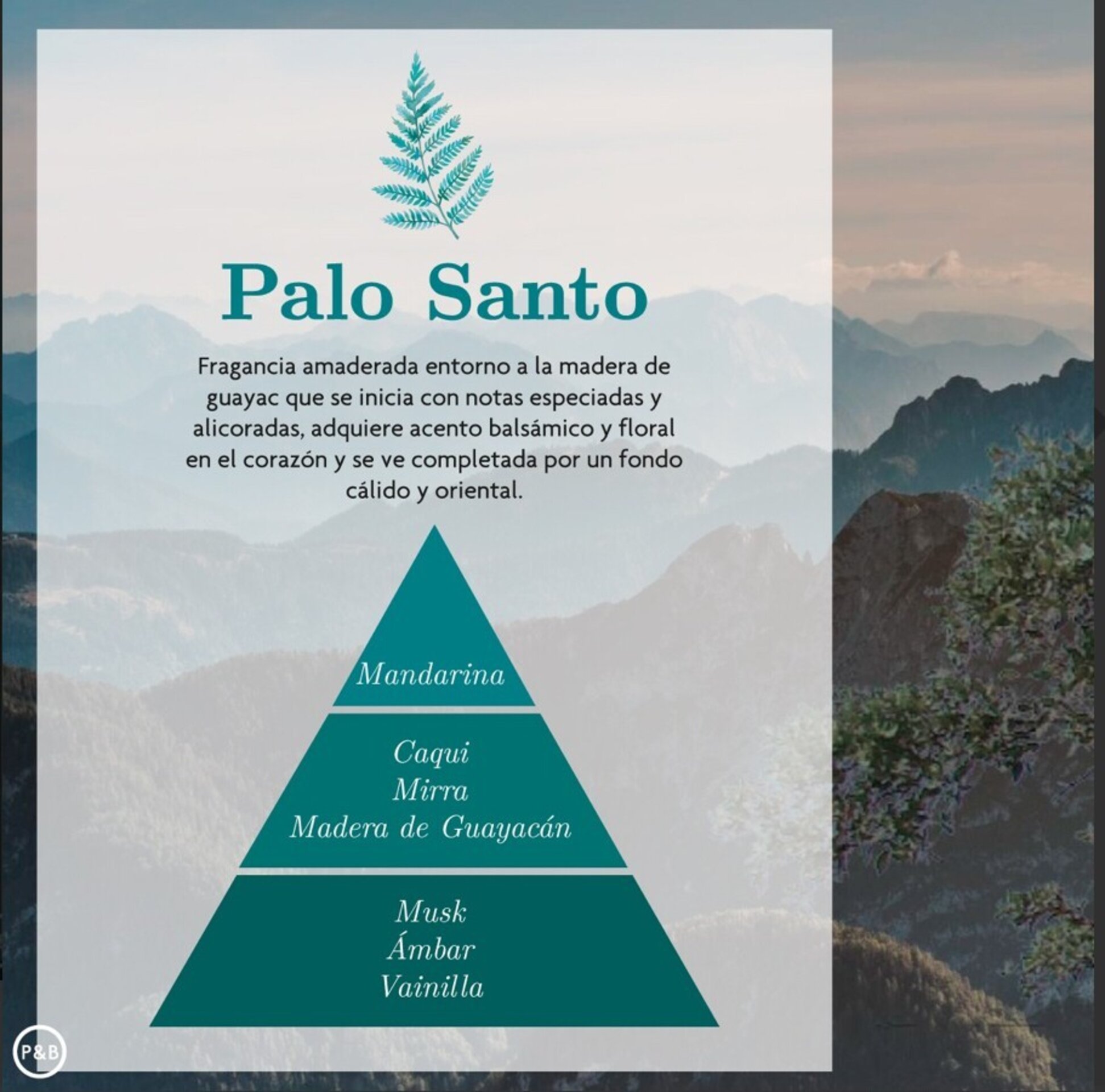 AMBAR ZEN – Esencia Hidrosoluble “Meditación Palo Santo” - 2